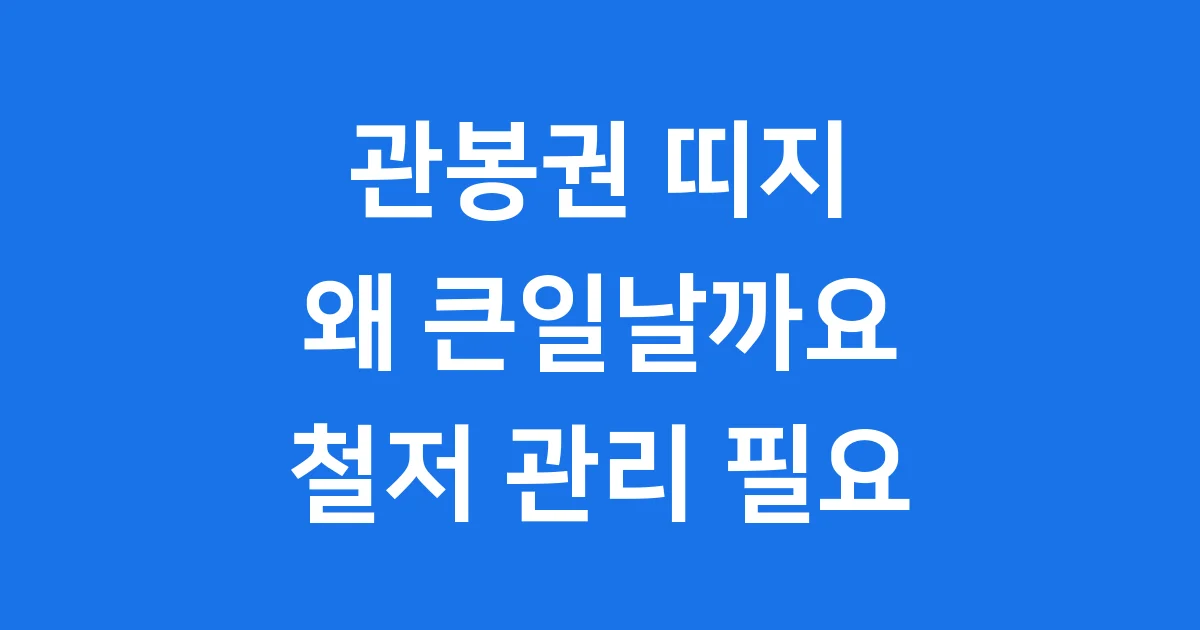 관봉권 띠지, 분실하면 큰일나는 이유와 관리법