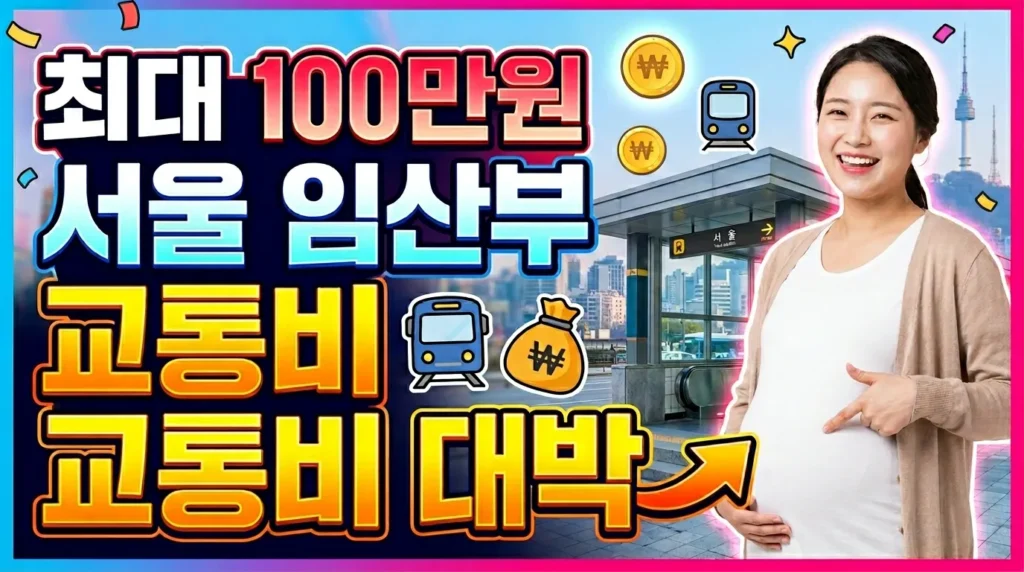 최대 100만원 서울 임산부 교통비 대박